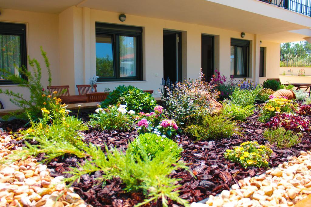 Olive Tree Apartments Φούρκα Δωμάτιο φωτογραφία