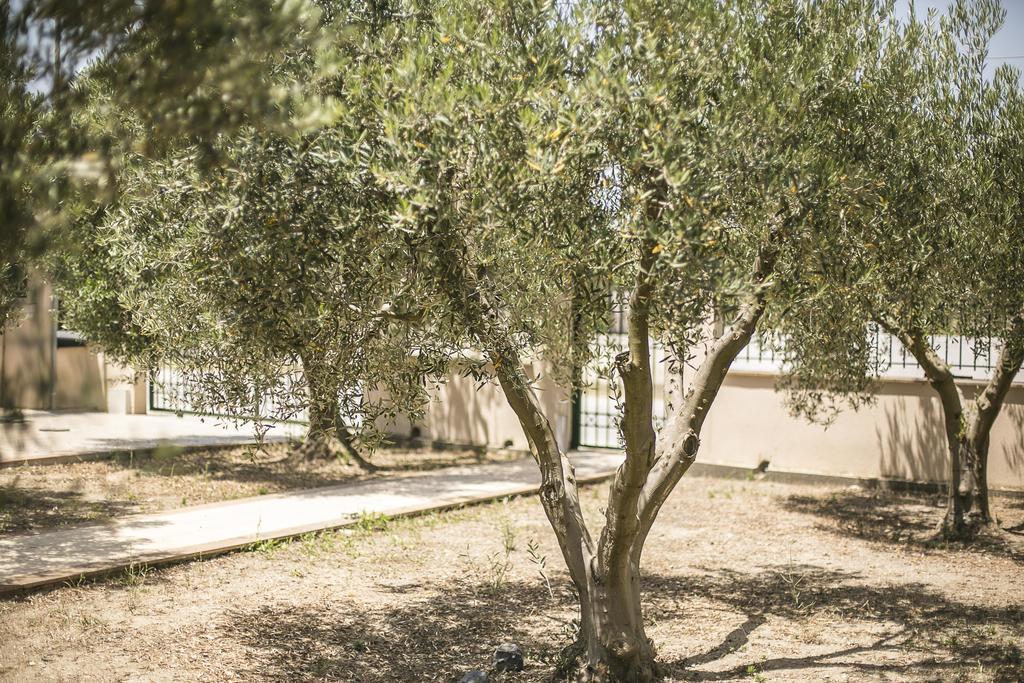 Olive Tree Apartments Φούρκα Εξωτερικό φωτογραφία