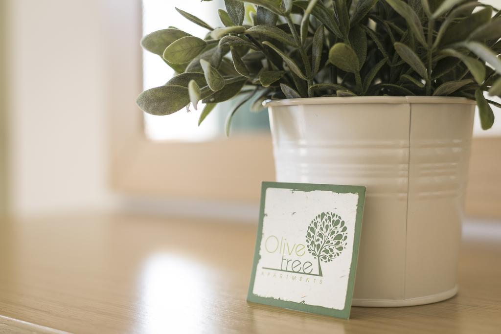 Olive Tree Apartments Φούρκα Εξωτερικό φωτογραφία