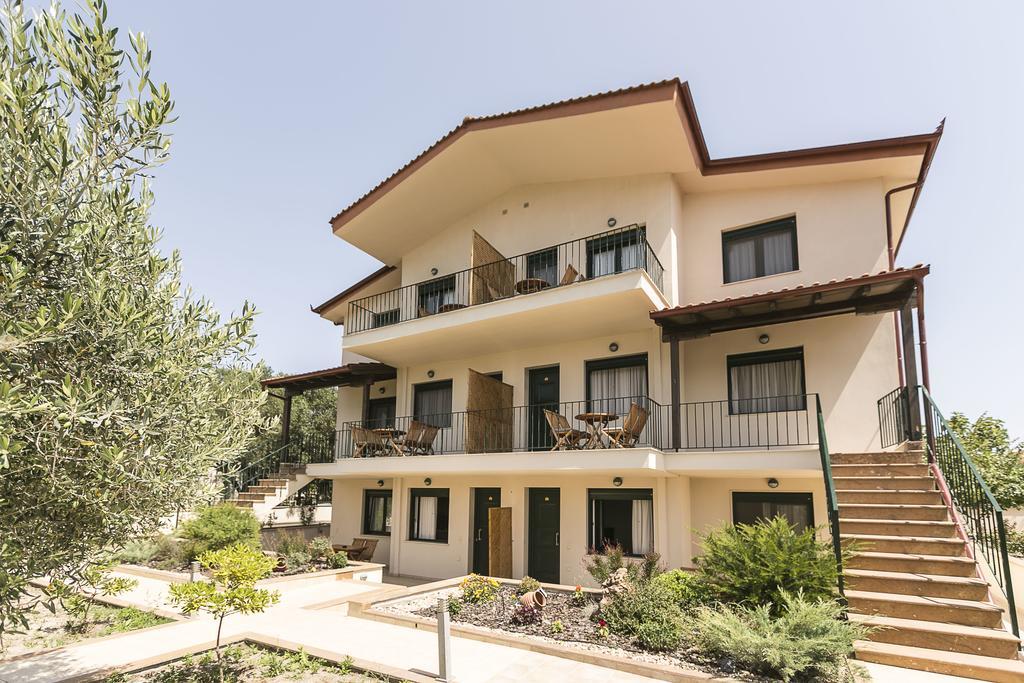 Olive Tree Apartments Φούρκα Εξωτερικό φωτογραφία