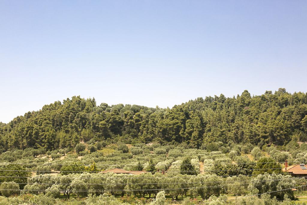 Olive Tree Apartments Φούρκα Εξωτερικό φωτογραφία